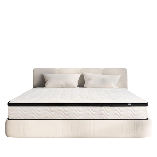 MOLBIUS 10 Queen Size Memory Foam Hybrid Mattress Cheap